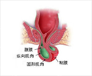 脱肛一般治疗采用什么方法?
