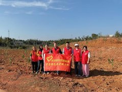 践行雷锋精神,共筑绿色家园——医院志愿者植树节在行动